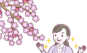 桜 花見をする女性のイラスト枚 イラストシティ